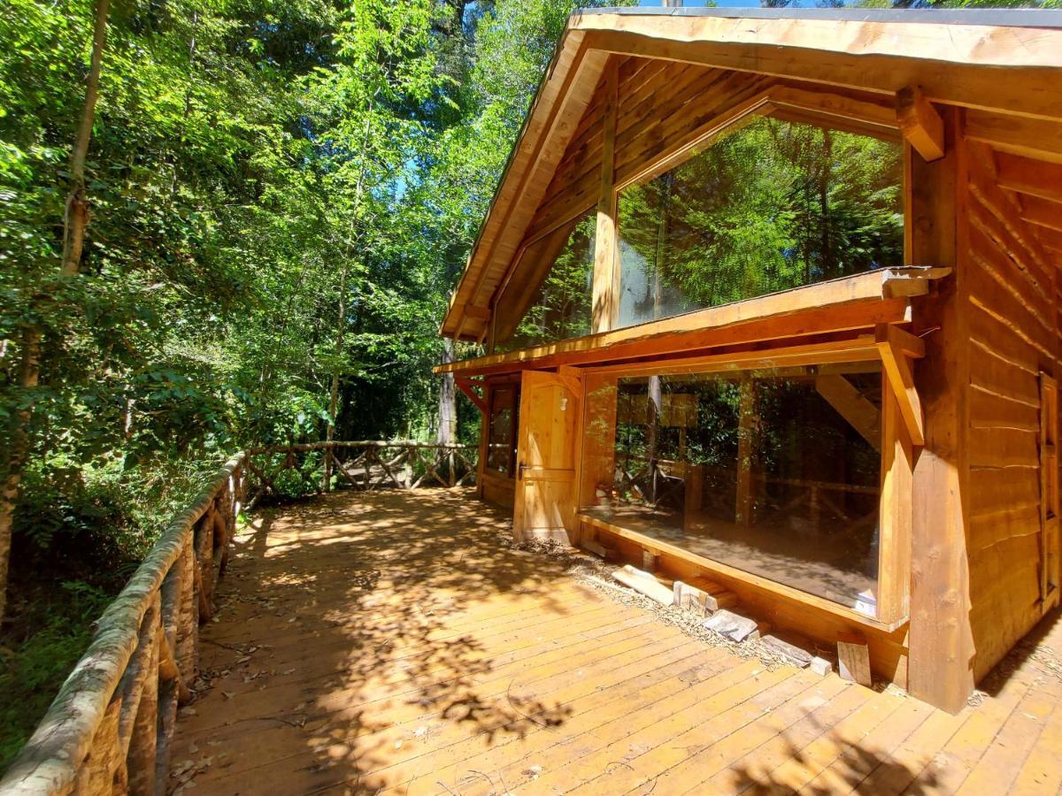 Chalet Vivir El Bosque Huilo Huilo Villa Ngoại thất bức ảnh