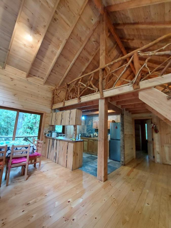 Chalet Vivir El Bosque Huilo Huilo Villa Ngoại thất bức ảnh