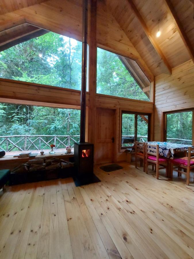 Chalet Vivir El Bosque Huilo Huilo Villa Ngoại thất bức ảnh